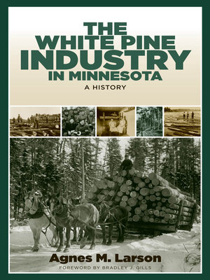 cover image of The White Pine Industry in Minnesota